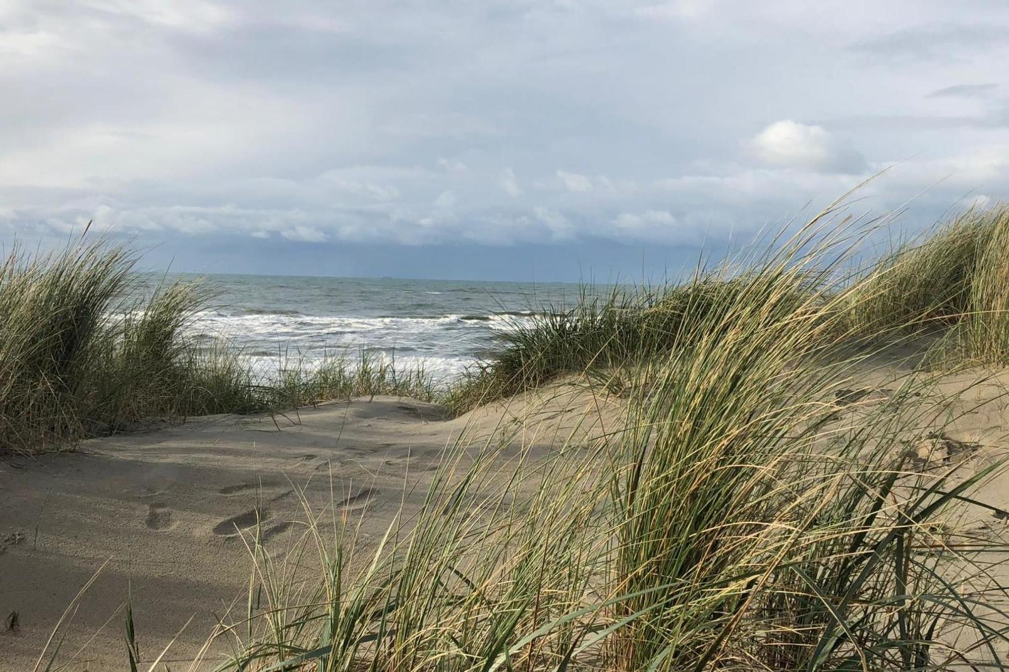 Shell 61 Lejlighed Zandvoort Eksteriør billede
